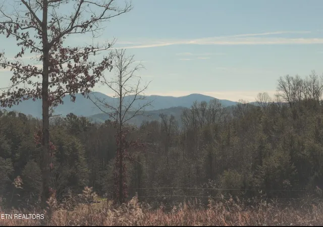 7th image of Lot 11 Curtis Rd, Tellico Plains, TN 37385 | MLS# 1349267