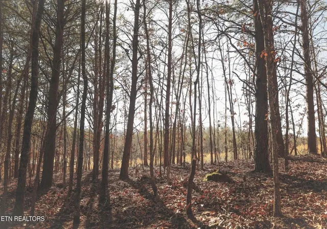 1st image of Lot 10 Curtis Rd, Tellico Plains, TN 37385 | MLS# 1349270