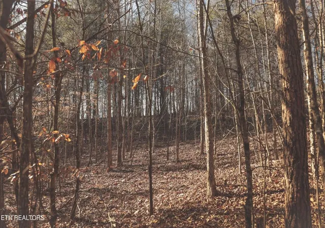 2nd image of Lot 10 Curtis Rd, Tellico Plains, TN 37385 | MLS# 1349270