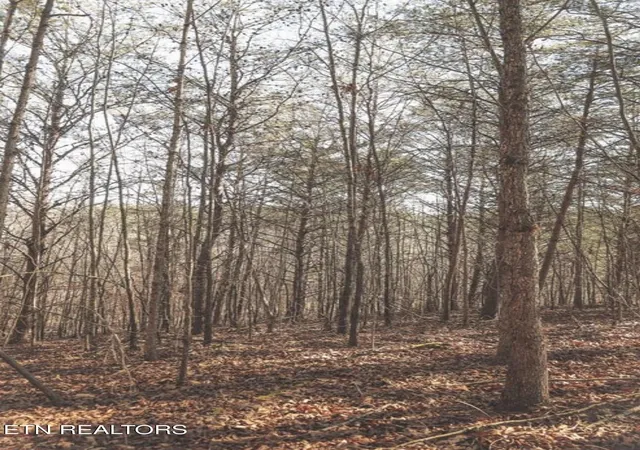 5th image of Lot 10 Curtis Rd, Tellico Plains, TN 37385 | MLS# 1349270