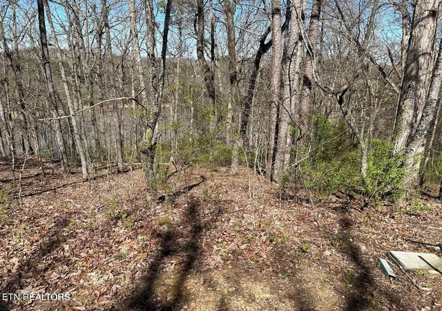 Photo 1 of Land for sale at 313 Skiatook Cir, Loudon, TN 37774 | MLS# 1349348 | Listing updated on 2026-07-24