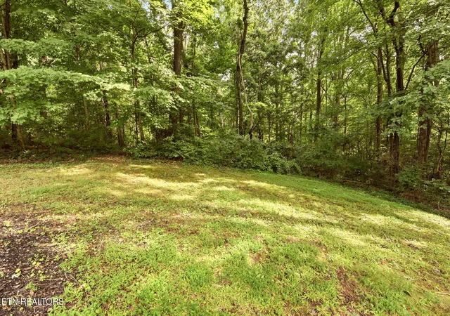 29th image of 360 East Dr, Oak Ridge, TN 37830 | MLS# 1349466