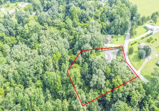 46th image of 4335 Bird Rd, Lenoir City, TN 37771 | MLS# 1350134