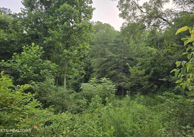 Photo 1 of Land for sale at Volunteer Rd, Rutledge, TN 37861 | MLS# 1350915 | Listing updated on 2026-09-03