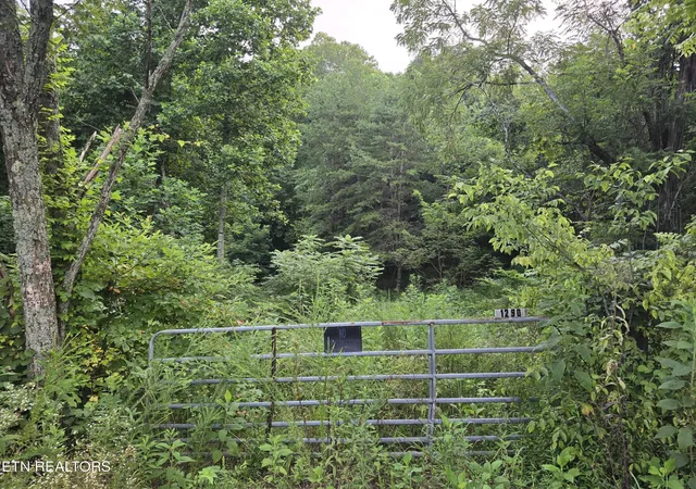 Photo 2 of Land for sale at Volunteer Rd, Rutledge, TN 37861 | MLS# 1350915 | Listing updated on 2026-09-03
