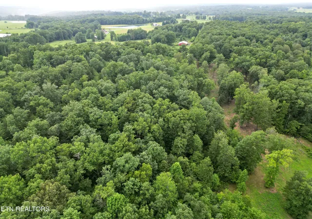 24th image of 766 Wallop Ln, Crossville, TN 38571 | MLS# 1349368