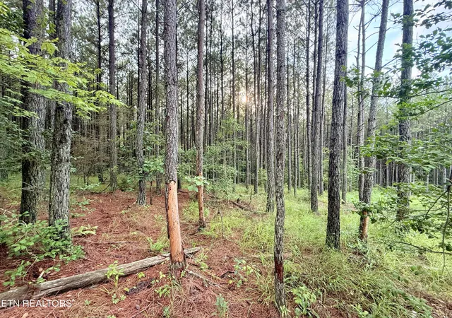 1st image of Lot 10, 11, & 13 Airport Road, Rockwood, TN 37854 | MLS# 1349350