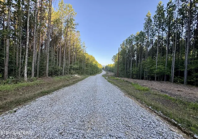 26th image of Lot 10, 11, & 13 Airport Road, Rockwood, TN 37854 | MLS# 1349350