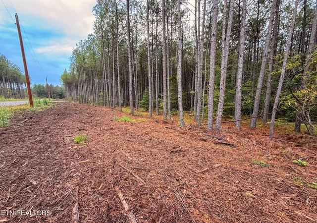2nd image of Lot 10, 11, & 13 Airport Road, Rockwood, TN 37854 | MLS# 1349350