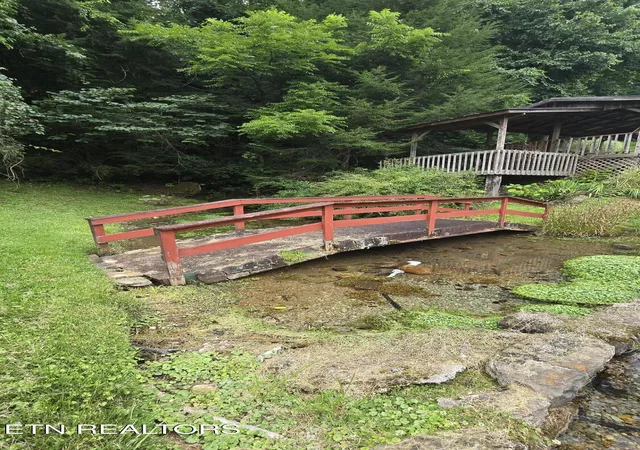 44th image of 5494 Lone Mountain Rd, New Tazewell, TN 37825 | MLS# 1349399