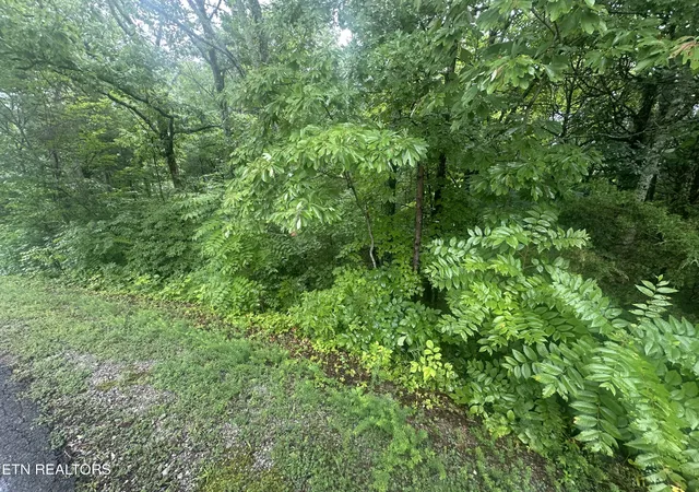 Photo 1 of Land for sale at 302 Elohi Tr, Loudon, TN 37774 | MLS# 1349406 | Listing updated on 2026-07-24
