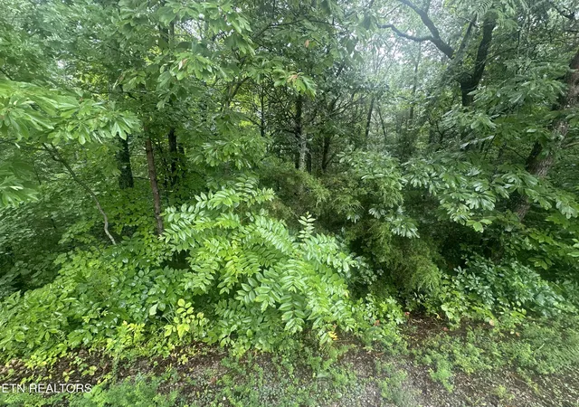 Photo 2 of Land for sale at 302 Elohi Tr, Loudon, TN 37774 | MLS# 1349406 | Listing updated on 2026-07-24