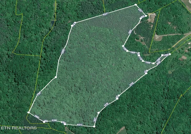 Photo 1 of Land for sale at 51 Acres Off Rocky Branch Rd, Rutledge, TN 37861 | MLS# 1349451 | Listing updated on 2026-07-24