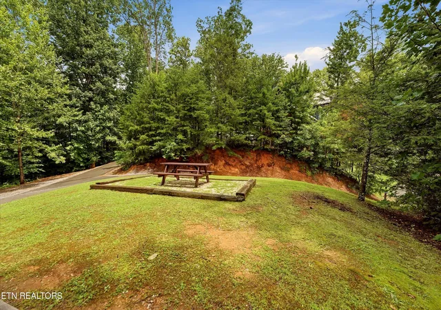 41st image of 1742 Elk Springs Wy, Gatlinburg, TN 37738 | MLS# 1349560