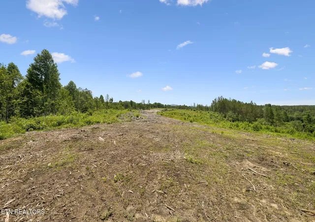 Photo 3 of Land for sale at Nydeck Tract 1 Rd, Robbins, TN 37852 | MLS# 1349522 | Listing updated on 2026-08-27