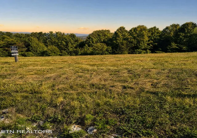 2nd image of Tanzanite Tr #124, New Tazewell, TN 37825 | MLS# 1349802