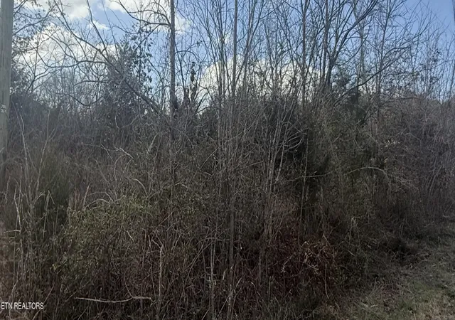 Photo 4 of Land for sale at Friends Sta Rd, New Market, TN 37820 | MLS# 1349577 | Listing updated on 2026-07-26