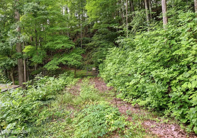 22nd image of Edwards Rd, Maynardville, TN 37807 | MLS# 1349588