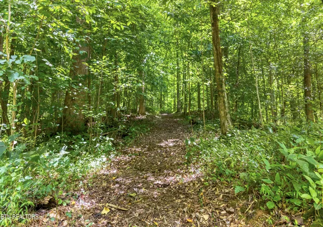 26th image of 429 Trails End Rd, Walland, TN 37886 | MLS# 1349587