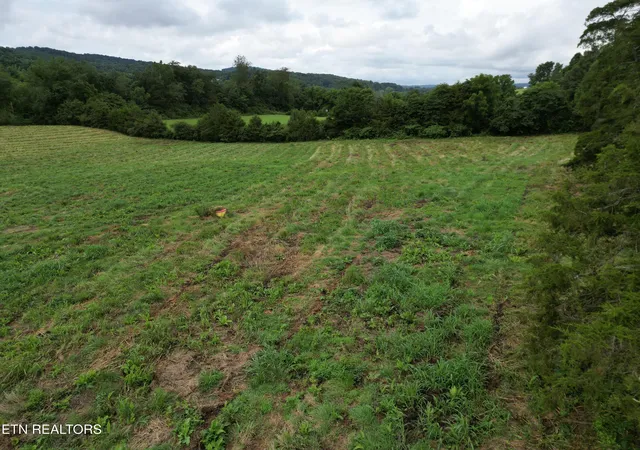18th image of 317 Singleton Hollow Rd #lot 1, Speedwell, TN 37870 | MLS# 1349785