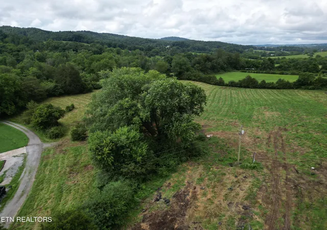 Photo 4 of Sale Pending at 317 Singleton Holw Rd #lot 1, Speedwell, TN 37870 | MLS# 1349785 | Listing updated on 2026-09-24