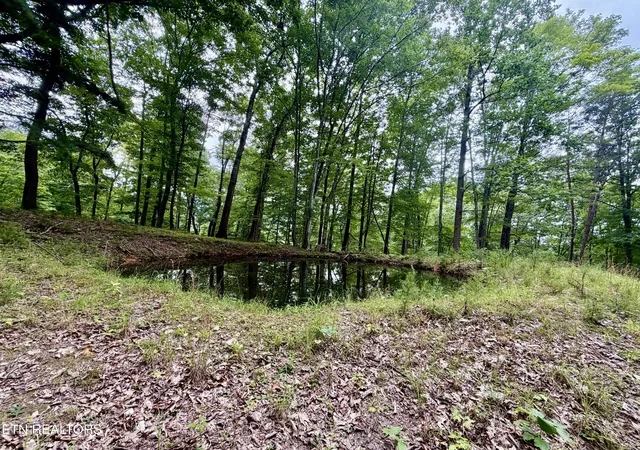 2nd image of 1545 Estes Rd, Tazewell, TN 37879 | MLS# 1349617