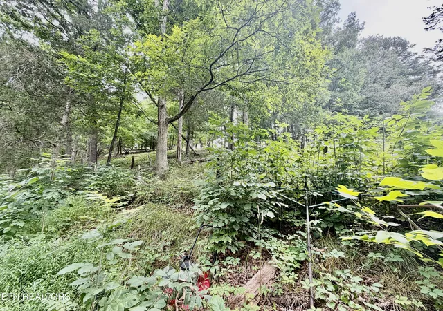 34th image of 1545 Estes Rd, Tazewell, TN 37879 | MLS# 1349617