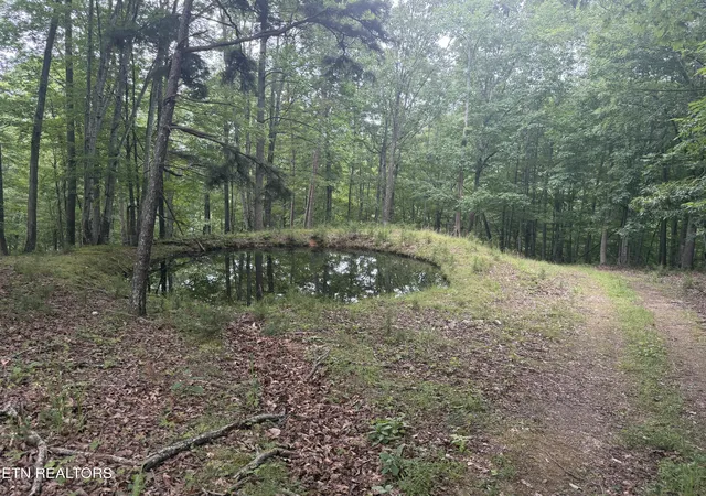 3rd image of 1545 Estes Rd, Tazewell, TN 37879 | MLS# 1349617