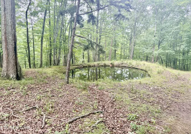 4th image of 1545 Estes Rd, Tazewell, TN 37879 | MLS# 1349617