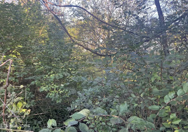 1st image of 2917 Brooks Ave, Knoxville, TN 37914 | MLS# 1349739