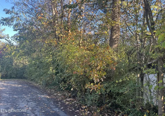 2nd image of 2917 Brooks Ave, Knoxville, TN 37914 | MLS# 1349739