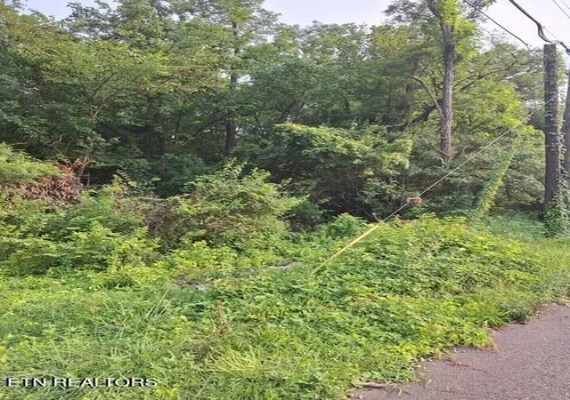 Land for sale at 0 Addison Dr, Knoxville, TN 37918 | MLS# 1349679