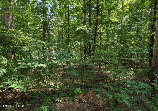 Photo 2 of Land for sale at White St #31, Rockwood, TN 37854 | MLS# 1349707 | Listing updated on 2026-09-04