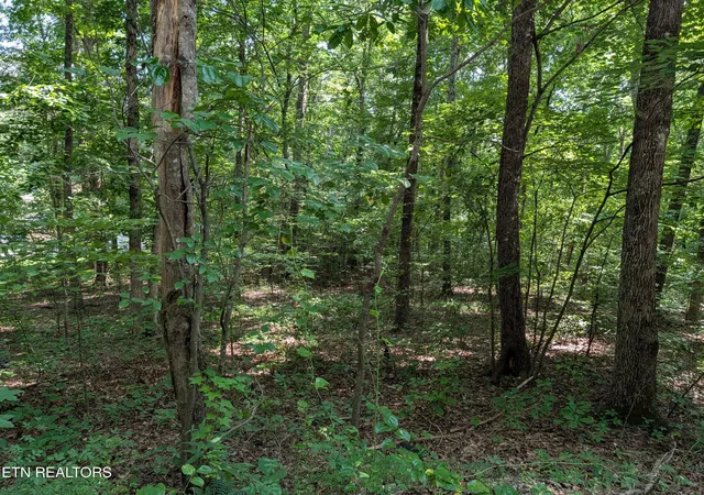 Photo 1 of Land for sale at White St #31, Rockwood, TN 37854 | MLS# 1349707 | Listing updated on 2026-09-04