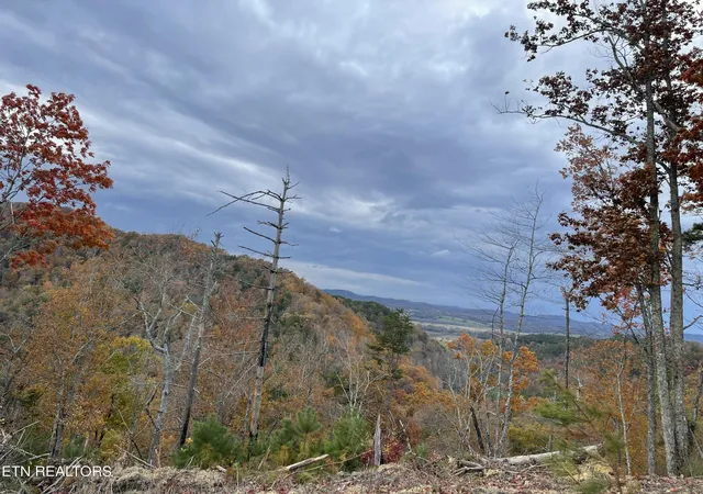 2nd image of 157 Quarry Creek Rd #Lot 5, Tellico Plains, TN 37385 | MLS# 1349723