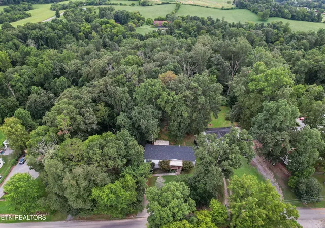 53rd image of 1711 Walnut Hill Ln, Sevierville, TN 37876 | MLS# 1350931