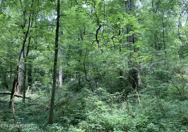 7th image of 4921 Wise Hills Rd #2, Knoxville, TN 37920 | MLS# 1349735