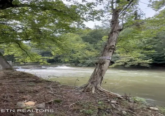 3rd image of 153 Padgett Mill Rd, Cosby, TN 37722 | MLS# 1350025
