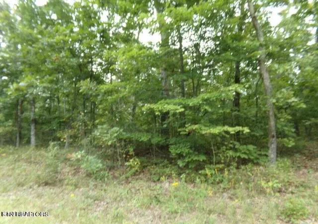 Photo 3 of Land for sale at 5105 Yurch Dr, Crossville, TN 38572 | MLS# 1349752 | Listing updated on 2026-07-28