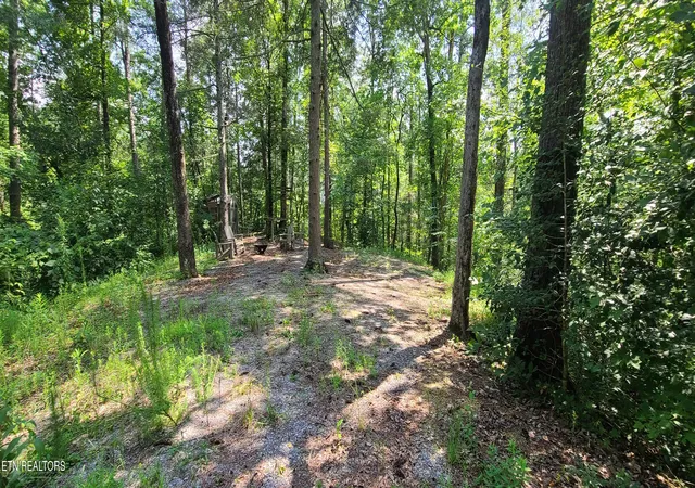 2nd image of 1011 Carrs Creek Rd, Townsend, TN 37882 | MLS# 1349892