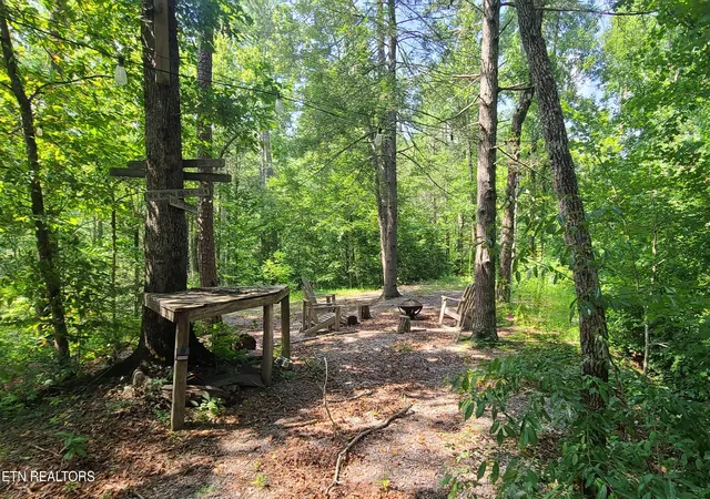 3rd image of 1011 Carrs Creek Rd, Townsend, TN 37882 | MLS# 1349892