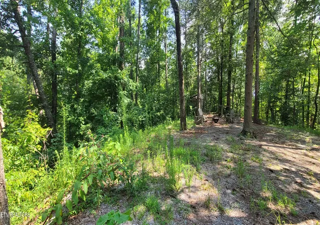 4th image of 1011 Carrs Creek Rd, Townsend, TN 37882 | MLS# 1349892