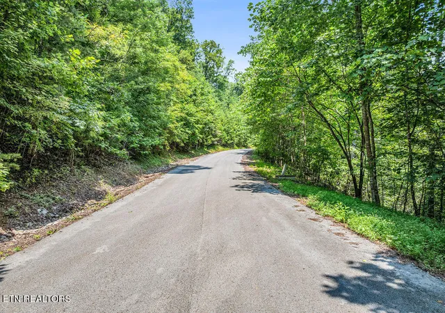 1st image of Lot 453 Silver Trl, New Tazewell, TN 37825 | MLS# 1349968