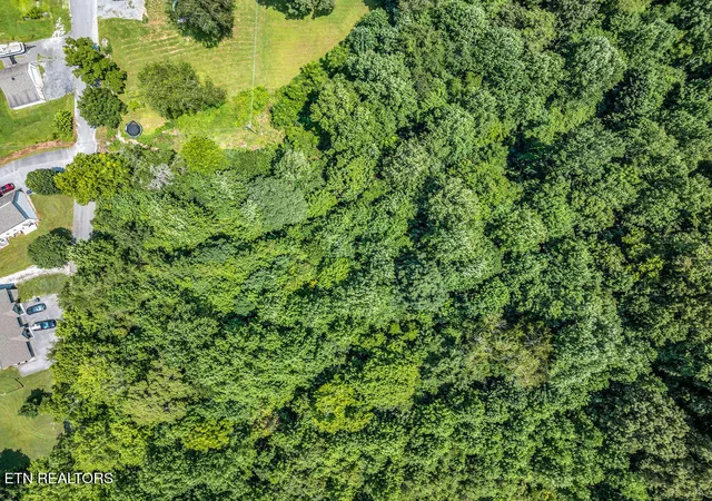 16th image of 0 Forest Meadows Lane, New Tazewell, TN 37825 | MLS# 1349971