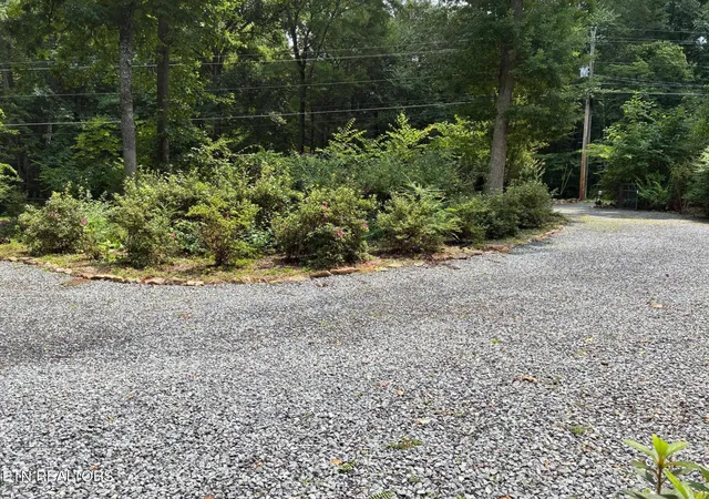 42nd image of 3375 Rocky Ridge Rd, Cosby, TN 37722 | MLS# 1350148