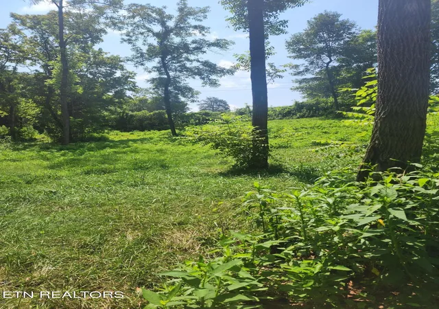 Photo 2 of Land for sale at 2255 Hubbard Rd, Loudon, TN 37774 | MLS# 1349851 | Listing updated on 2026-09-24