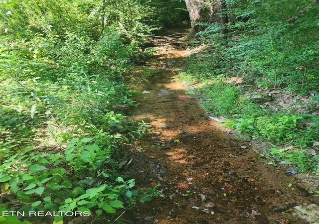 Photo 4 of Land for sale at 2255 Hubbard Rd, Loudon, TN 37774 | MLS# 1349851 | Listing updated on 2026-09-24