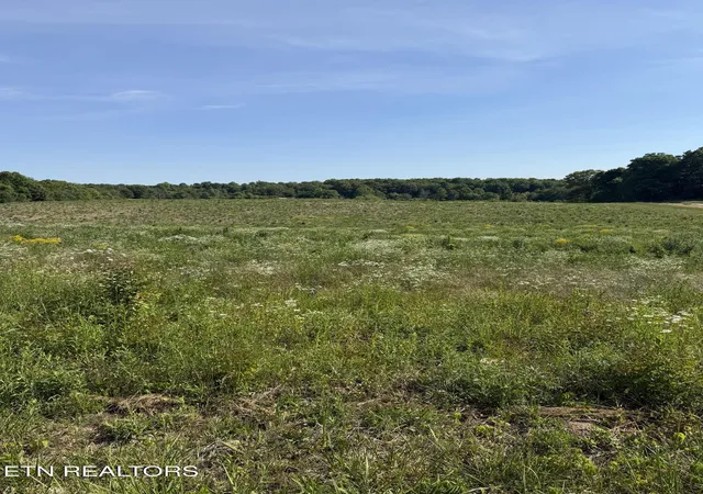 Photo 1 of Land for sale at 12d Petty Rd, Sparta, TN 38583 | MLS# 1349841 | Listing updated on 2026-10-08