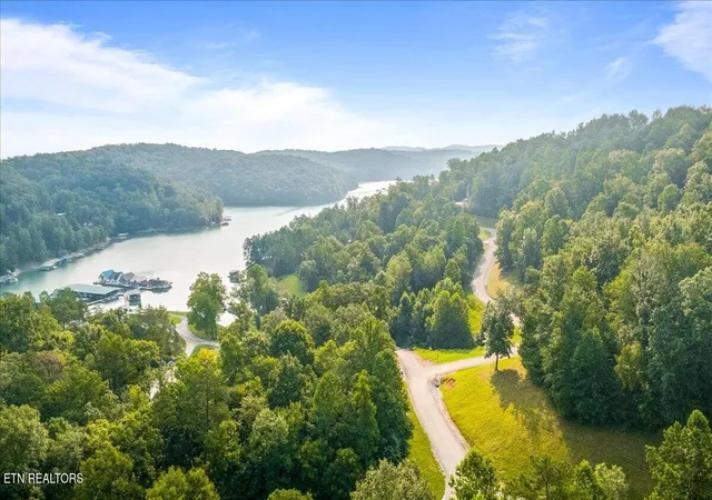 28th image of 177 Hickory Wy, La Follette, TN 37766 | MLS# 1350247