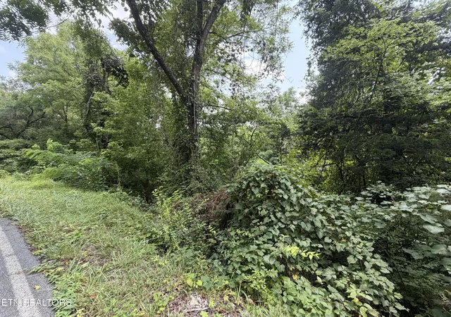 2nd image of 1059 Kellum Creek Rd, Sevierville, TN 37876 | MLS# 1349882